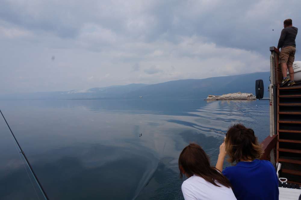 бывает такой штиль, что вода как масло. Малое море, остров чаек.